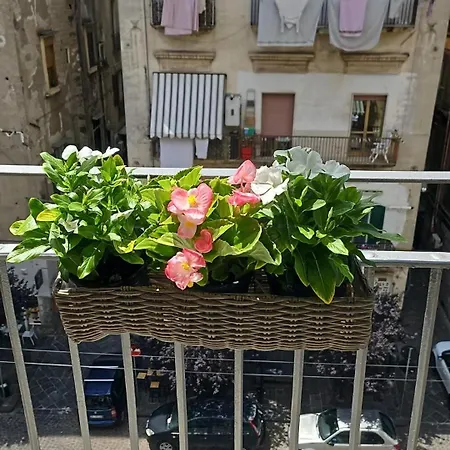 Tresette Porta Capuana 4*