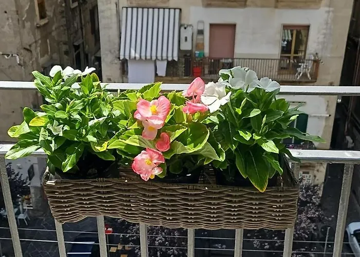 Tresette Porta Capuana 4*